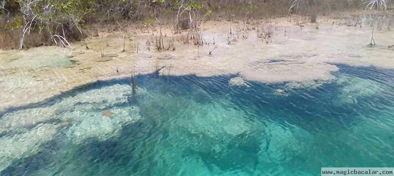 Paseos en la laguna de bacalar lleno de sana  aventura en un entorno geológico único 