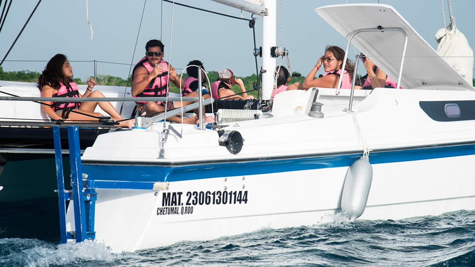 Tour Colectivo: Discovery Full