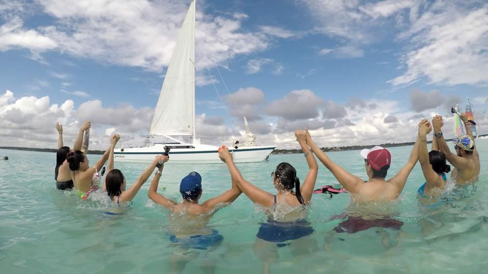 Tour Colectivo Discovery Full