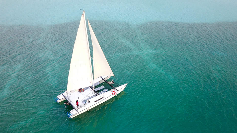 Tour Privado Discovery Full