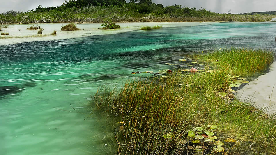 Tour Los Rápidos de Bacalar