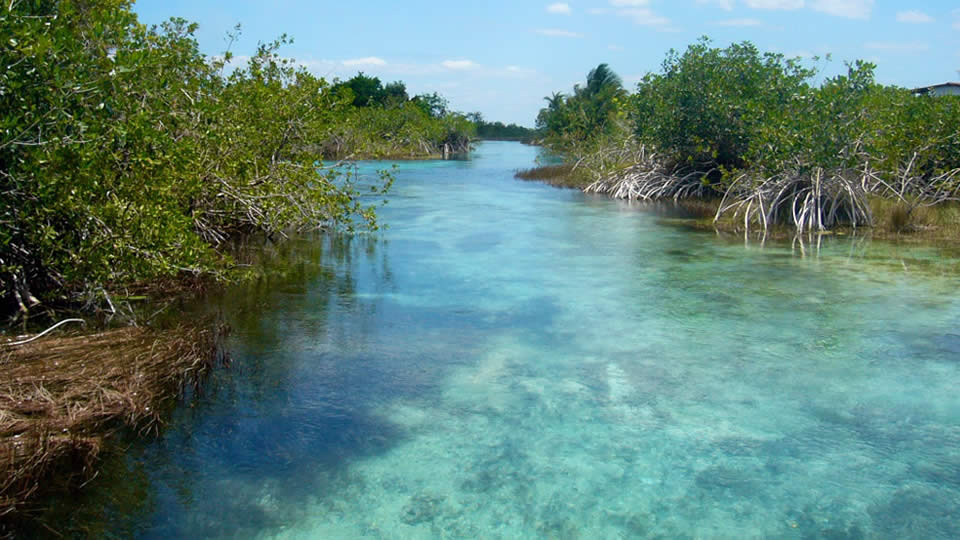 Tour Los Rápidos de Bacalar